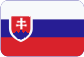 Umzugsdienste Tschechische Republik Slovensky
